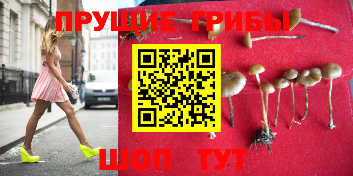 Осинники  Псилоцибиновые грибы Cubensis  Вход с VPN 